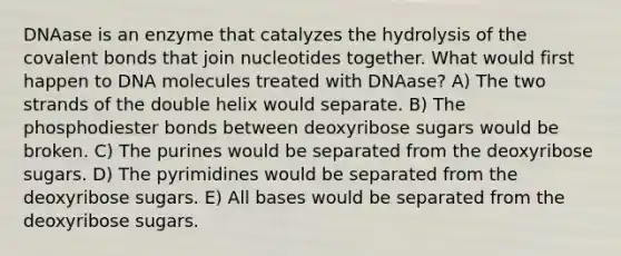 DNAase is an enzyme that catalyzes the hydrolysis of the covalent bonds that join nucleotides together. What would first happen to DNA molecules treated with DNAase? A) The two strands of the double helix would separate. B) The phosphodiester bonds between deoxyribose sugars would be broken. C) The purines would be separated from the deoxyribose sugars. D) The pyrimidines would be separated from the deoxyribose sugars. E) All bases would be separated from the deoxyribose sugars.