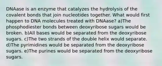 DNAase is an enzyme that catalyzes the hydrolysis of the covalent bonds that join nucleotides together. What would first happen to DNA molecules treated with DNAase? a)The phosphodiester bonds between deoxyribose sugars would be broken. b)All bases would be separated from the deoxyribose sugars. c)The two strands of the double helix would separate. d)The pyrimidines would be separated from the deoxyribose sugars. e)The purines would be separated from the deoxyribose sugars.