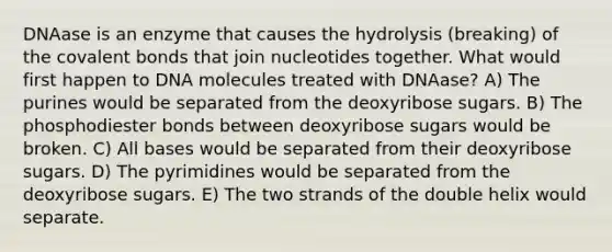 DNAase is an enzyme that causes the hydrolysis (breaking) of the covalent bonds that join nucleotides together. What would first happen to DNA molecules treated with DNAase? A) The purines would be separated from the deoxyribose sugars. B) The phosphodiester bonds between deoxyribose sugars would be broken. C) All bases would be separated from their deoxyribose sugars. D) The pyrimidines would be separated from the deoxyribose sugars. E) The two strands of the double helix would separate.