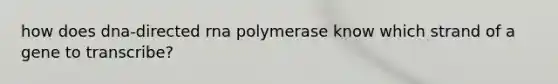 how does dna-directed rna polymerase know which strand of a gene to transcribe?