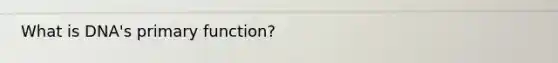What is DNA's primary function?