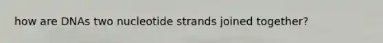 how are DNAs two nucleotide strands joined together?