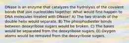 DNase is an enzyme that catalyzes the hydrolysis of the covalent bonds that join nucleotides together. What would first happen to DNA molecules treated with DNase? A) The two strands of the double helix would separate. B) The phosphodiester bonds between deoxyribose sugars would be broken. C) The bases would be separated from the deoxyribose sugars. D) Oxygen atoms would be removed from the deoxyribose sugars.