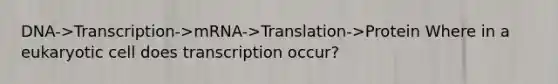 DNA->Transcription->mRNA->Translation->Protein Where in a eukaryotic cell does transcription occur?