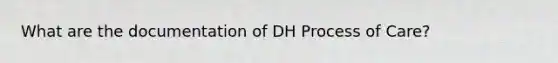 What are the documentation of DH Process of Care?