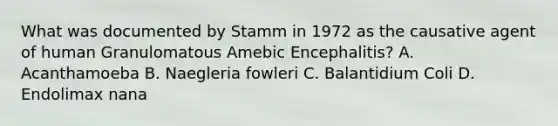 What was documented by Stamm in 1972 as the causative agent of human Granulomatous Amebic Encephalitis? A. Acanthamoeba B. Naegleria fowleri C. Balantidium Coli D. Endolimax nana