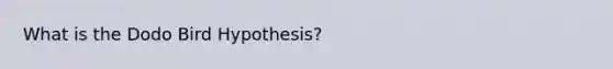 What is the Dodo Bird Hypothesis?