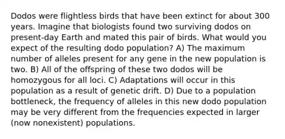 Dodos were flightless birds that have been extinct for about 300 years. Imagine that biologists found two surviving dodos on present-day Earth and mated this pair of birds. What would you expect of the resulting dodo population? A) The maximum number of alleles present for any gene in the new population is two. B) All of the offspring of these two dodos will be homozygous for all loci. C) Adaptations will occur in this population as a result of genetic drift. D) Due to a population bottleneck, the frequency of alleles in this new dodo population may be very different from the frequencies expected in larger (now nonexistent) populations.