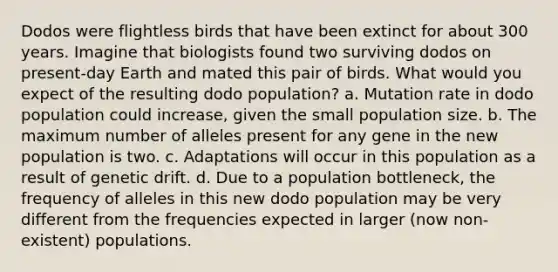 Dodos were flightless birds that have been extinct for about 300 years. Imagine that biologists found two surviving dodos on present-day Earth and mated this pair of birds. What would you expect of the resulting dodo population? a. Mutation rate in dodo population could increase, given the small population size. b. The maximum number of alleles present for any gene in the new population is two. c. Adaptations will occur in this population as a result of genetic drift. d. Due to a population bottleneck, the frequency of alleles in this new dodo population may be very different from the frequencies expected in larger (now non-existent) populations.