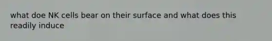 what doe NK cells bear on their surface and what does this readily induce