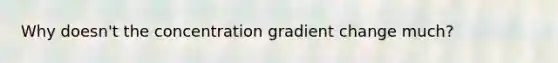 Why doesn't the concentration gradient change much?