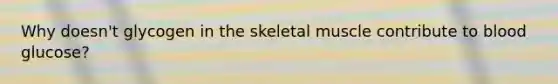 Why doesn't glycogen in the skeletal muscle contribute to blood glucose?