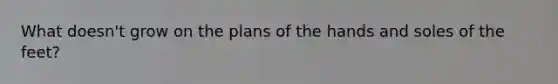 What doesn't grow on the plans of the hands and soles of the feet?