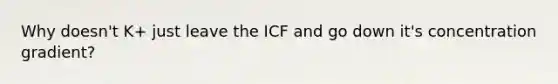 Why doesn't K+ just leave the ICF and go down it's concentration gradient?