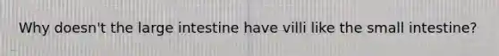 Why doesn't the large intestine have villi like the small intestine?