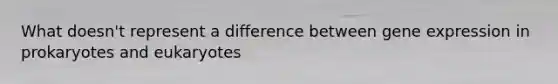 What doesn't represent a difference between gene expression in prokaryotes and eukaryotes