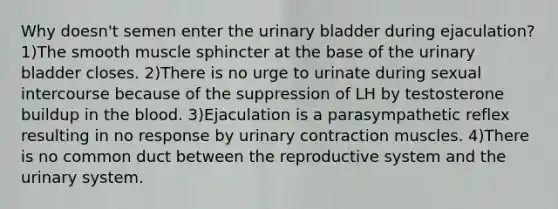 Why doesn't semen enter the <a href='https://www.questionai.com/knowledge/kb9SdfFdD9-urinary-bladder' class='anchor-knowledge'>urinary bladder</a> during ejaculation? 1)The smooth muscle sphincter at the base of the urinary bladder closes. 2)There is no urge to urinate during sexual intercourse because of the suppression of LH by testosterone buildup in <a href='https://www.questionai.com/knowledge/k7oXMfj7lk-the-blood' class='anchor-knowledge'>the blood</a>. 3)Ejaculation is a parasympathetic reflex resulting in no response by urinary contraction muscles. 4)There is no common duct between the reproductive system and the urinary system.