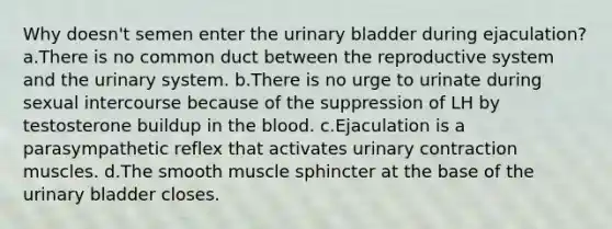 Why doesn't semen enter the urinary bladder during ejaculation? a.There is no common duct between the reproductive system and the urinary system. b.There is no urge to urinate during sexual intercourse because of the suppression of LH by testosterone buildup in the blood. c.Ejaculation is a parasympathetic reflex that activates urinary contraction muscles. d.The smooth muscle sphincter at the base of the urinary bladder closes.