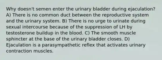 Why doesn't semen enter the <a href='https://www.questionai.com/knowledge/kb9SdfFdD9-urinary-bladder' class='anchor-knowledge'>urinary bladder</a> during ejaculation? A) There is no common duct between the reproductive system and the urinary system. B) There is no urge to urinate during sexual intercourse because of the suppression of LH by testosterone buildup in <a href='https://www.questionai.com/knowledge/k7oXMfj7lk-the-blood' class='anchor-knowledge'>the blood</a>. C) The smooth muscle sphincter at the base of the urinary bladder closes. D) Ejaculation is a parasympathetic reflex that activates urinary contraction muscles.