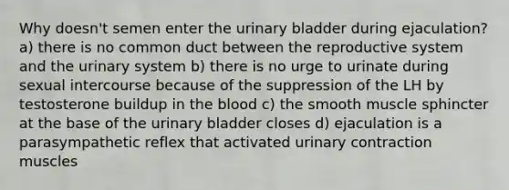 Why doesn't semen enter the urinary bladder during ejaculation? a) there is no common duct between the reproductive system and the urinary system b) there is no urge to urinate during sexual intercourse because of the suppression of the LH by testosterone buildup in the blood c) the smooth muscle sphincter at the base of the urinary bladder closes d) ejaculation is a parasympathetic reflex that activated urinary contraction muscles