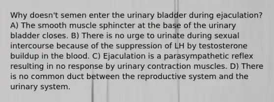 Why doesn't semen enter the urinary bladder during ejaculation? A) The smooth muscle sphincter at the base of the urinary bladder closes. B) There is no urge to urinate during sexual intercourse because of the suppression of LH by testosterone buildup in the blood. C) Ejaculation is a parasympathetic reflex resulting in no response by urinary contraction muscles. D) There is no common duct between the reproductive system and the urinary system.