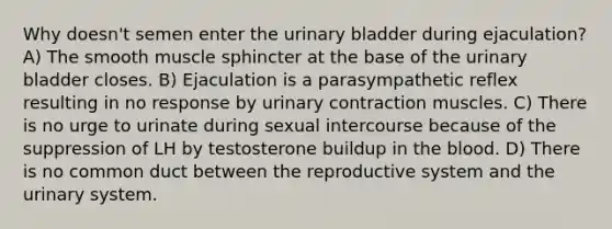 Why doesn't semen enter the urinary bladder during ejaculation? A) The smooth muscle sphincter at the base of the urinary bladder closes. B) Ejaculation is a parasympathetic reflex resulting in no response by urinary contraction muscles. C) There is no urge to urinate during sexual intercourse because of the suppression of LH by testosterone buildup in the blood. D) There is no common duct between the reproductive system and the urinary system.