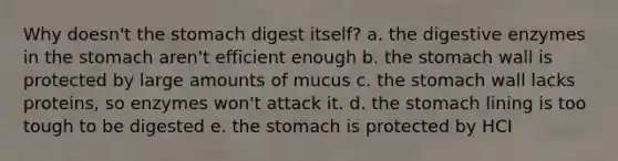 Why doesn't the stomach digest itself? a. the digestive enzymes in the stomach aren't efficient enough b. the stomach wall is protected by large amounts of mucus c. the stomach wall lacks proteins, so enzymes won't attack it. d. the stomach lining is too tough to be digested e. the stomach is protected by HCI