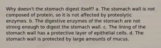 Why doesn't the stomach digest itself? a. The stomach wall is not composed of protein, so it is not affected by proteolytic enzymes. b. The digestive enzymes of the stomach are not strong enough to digest the stomach wall. c. The lining of the stomach wall has a protective layer of epithelial cells. d. The stomach wall is protected by large amounts of mucus.