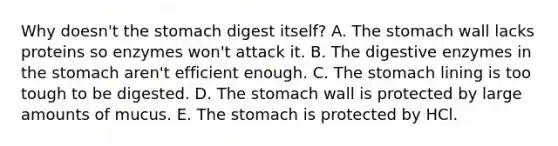 Why doesn't the stomach digest itself? A. The stomach wall lacks proteins so enzymes won't attack it. B. The digestive enzymes in the stomach aren't efficient enough. C. The stomach lining is too tough to be digested. D. The stomach wall is protected by large amounts of mucus. E. The stomach is protected by HCl.