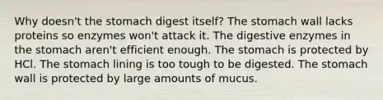 Why doesn't the stomach digest itself? The stomach wall lacks proteins so enzymes won't attack it. The digestive enzymes in the stomach aren't efficient enough. The stomach is protected by HCl. The stomach lining is too tough to be digested. The stomach wall is protected by large amounts of mucus.