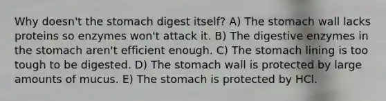 Why doesn't the stomach digest itself? A) The stomach wall lacks proteins so enzymes won't attack it. B) The digestive enzymes in the stomach aren't efficient enough. C) The stomach lining is too tough to be digested. D) The stomach wall is protected by large amounts of mucus. E) The stomach is protected by HCl.