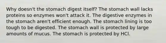 Why doesn't the stomach digest itself? The stomach wall lacks proteins so enzymes won't attack it. The digestive enzymes in the stomach aren't efficient enough. The stomach lining is too tough to be digested. The stomach wall is protected by large amounts of mucus. The stomach is protected by HCl.