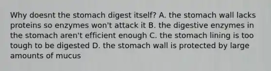 Why doesnt the stomach digest itself? A. the stomach wall lacks proteins so enzymes won't attack it B. the digestive enzymes in the stomach aren't efficient enough C. the stomach lining is too tough to be digested D. the stomach wall is protected by large amounts of mucus