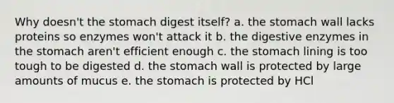 Why doesn't the stomach digest itself? a. the stomach wall lacks proteins so enzymes won't attack it b. the digestive enzymes in the stomach aren't efficient enough c. the stomach lining is too tough to be digested d. the stomach wall is protected by large amounts of mucus e. the stomach is protected by HCl