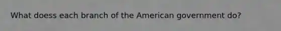 What doess each branch of the American government do?