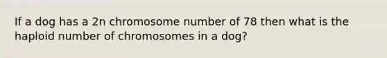 If a dog has a 2n chromosome number of 78 then what is the haploid number of chromosomes in a dog?