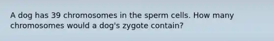 A dog has 39 chromosomes in the sperm cells. How many chromosomes would a dog's zygote contain?