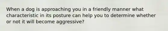 When a dog is approaching you in a friendly manner what characteristic in its posture can help you to determine whether or not it will become aggressive?