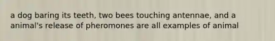 a dog baring its teeth, two bees touching antennae, and a animal's release of pheromones are all examples of animal