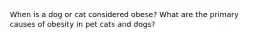 When is a dog or cat considered obese? What are the primary causes of obesity in pet cats and dogs?