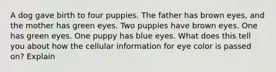 A dog gave birth to four puppies. The father has brown eyes, and the mother has green eyes. Two puppies have brown eyes. One has green eyes. One puppy has blue eyes. What does this tell you about how the cellular information for eye color is passed on? Explain