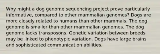 Why might a dog genome sequencing project prove particularly informative, compared to other mammalian genomes? Dogs are more closely related to humans than other mammals. The dog genome is smaller than other mammalian genomes. The dog genome lacks transposons. Genetic variation between breeds may be linked to phenotypic variation. Dogs have large brains and sophisticated communication abilities.