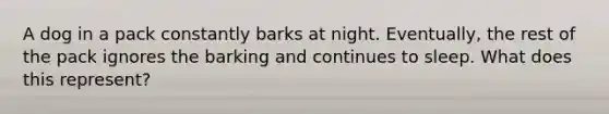 A dog in a pack constantly barks at night. Eventually, the rest of the pack ignores the barking and continues to sleep. What does this represent?