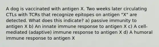 A dog is vaccinated with antigen X. Two weeks later circulating CTLs with TCRs that recognize epitopes on antigen "X" are detected. What does this indicate? a) passive immunity to antigen X b) An innate immune response to antigen X c) A cell-mediated (adaptive) immune response to antigen X d) A humoral immune response to antigen X