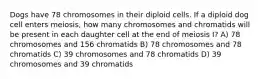 Dogs have 78 chromosomes in their diploid cells. If a diploid dog cell enters meiosis, how many chromosomes and chromatids will be present in each daughter cell at the end of meiosis I? A) 78 chromosomes and 156 chromatids B) 78 chromosomes and 78 chromatids C) 39 chromosomes and 78 chromatids D) 39 chromosomes and 39 chromatids