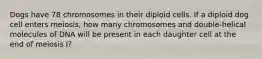 Dogs have 78 chromosomes in their diploid cells. If a diploid dog cell enters meiosis, how many chromosomes and double-helical molecules of DNA will be present in each daughter cell at the end of meiosis I?