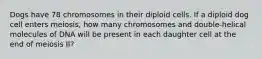 Dogs have 78 chromosomes in their diploid cells. If a diploid dog cell enters meiosis, how many chromosomes and double-helical molecules of DNA will be present in each daughter cell at the end of meiosis II?