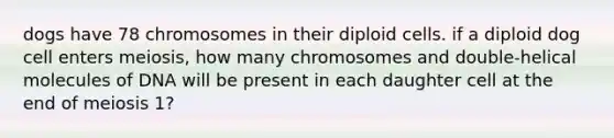 dogs have 78 chromosomes in their diploid cells. if a diploid dog cell enters meiosis, how many chromosomes and double-helical molecules of DNA will be present in each daughter cell at the end of meiosis 1?