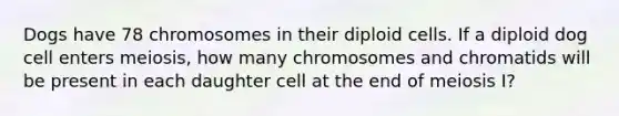 Dogs have 78 chromosomes in their diploid cells. If a diploid dog cell enters meiosis, how many chromosomes and chromatids will be present in each daughter cell at the end of meiosis I?