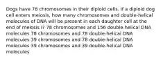 Dogs have 78 chromosomes in their diploid cells. If a diploid dog cell enters meiosis, how many chromosomes and double-helical molecules of DNA will be present in each daughter cell at the end of meiosis I? 78 chromosomes and 156 double-helical DNA molecules 78 chromosomes and 78 double-helical DNA molecules 39 chromosomes and 78 double-helical DNA molecules 39 chromosomes and 39 double-helical DNA molecules